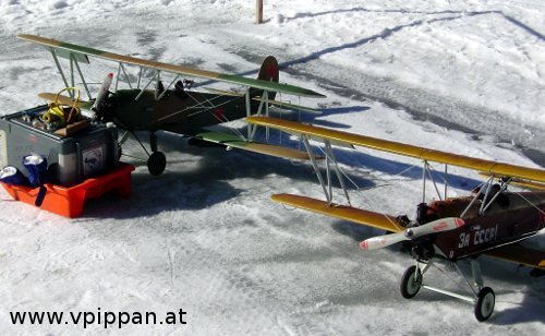 Schaufliegen Brennsee