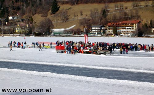 Schaufliegen Brennsee