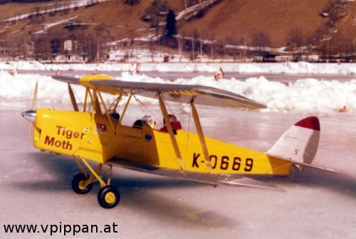 Eisfliegen am Brennsee