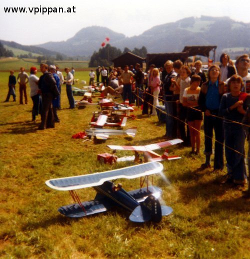 Schaufliegen