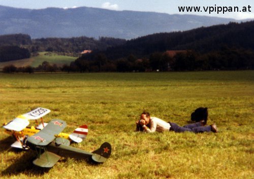 Schaufliegen