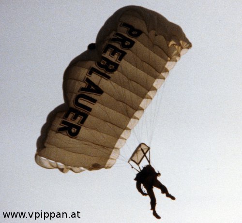 Nötscher Flugtag